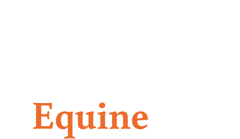 Logo Equinebay squared
